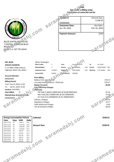 Belize Electricity Limited electricity business utility bill template in Word and PDF format